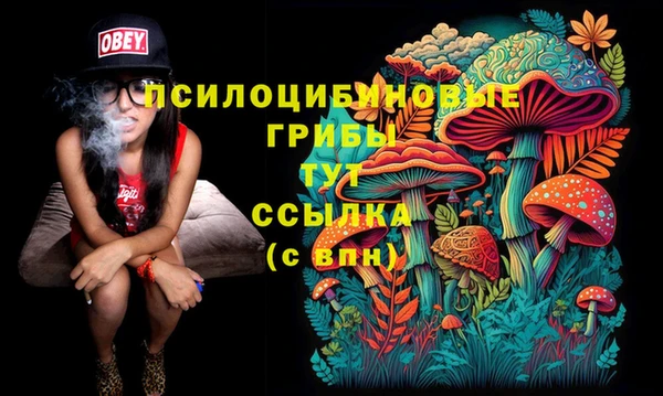 круглые Алексин