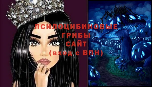 не бодяженный Каменка
