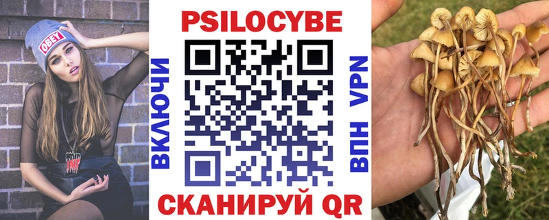 наркота  Краснознаменск  Псилоцибиновые грибы мухоморы 